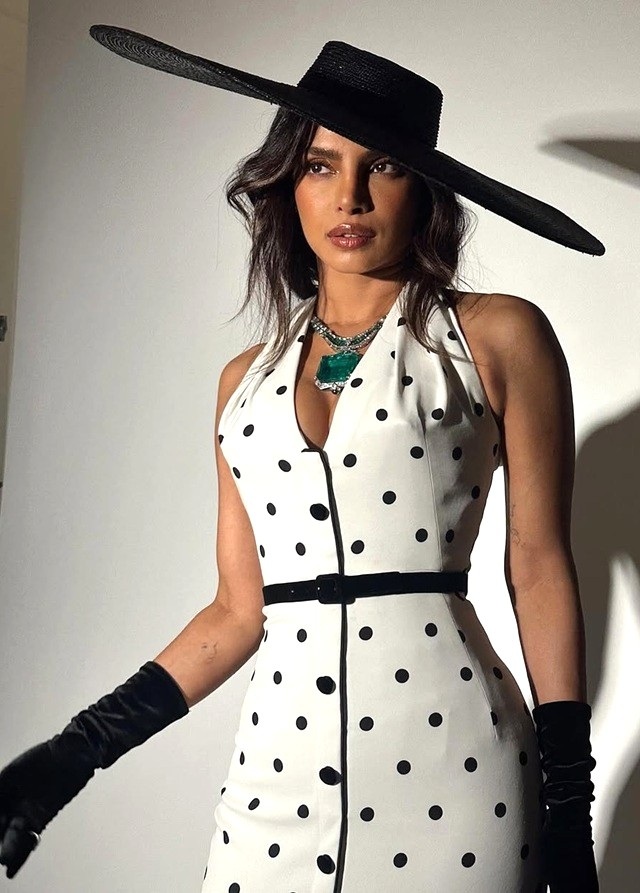 'Desi girl' Priyanka Chopra Jonas showcases retro glam for MET Gala 2025